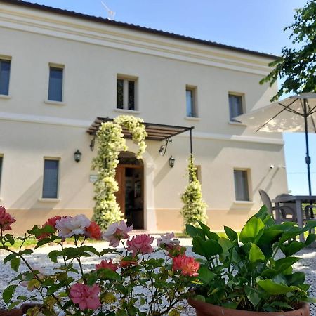 Villa Marietta Country House - Marche Montemaggiore al Metauro Ngoại thất bức ảnh