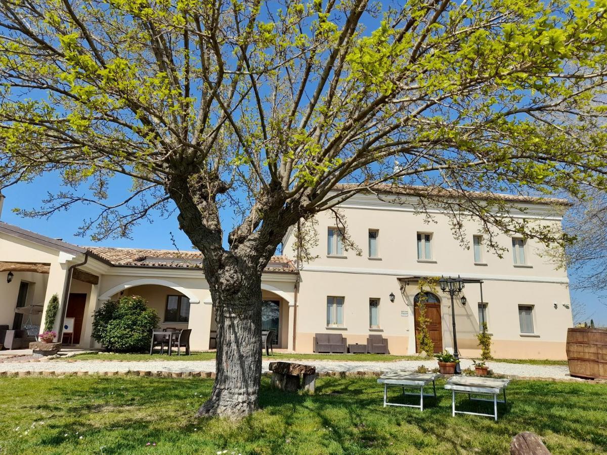 Villa Marietta Country House - Marche Montemaggiore al Metauro Ngoại thất bức ảnh