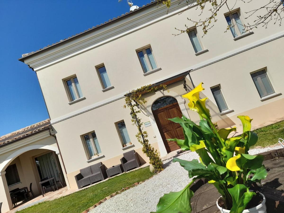 Villa Marietta Country House - Marche Montemaggiore al Metauro Ngoại thất bức ảnh