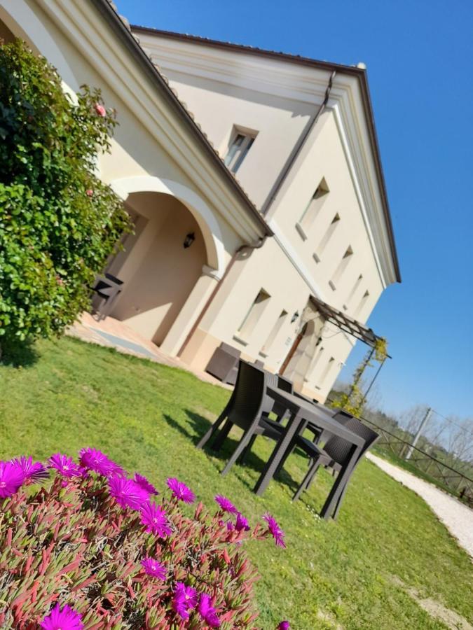 Villa Marietta Country House - Marche Montemaggiore al Metauro Ngoại thất bức ảnh