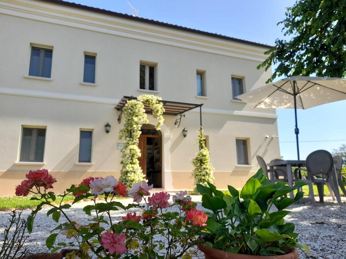 Villa Marietta Country House - Marche Montemaggiore al Metauro Ngoại thất bức ảnh